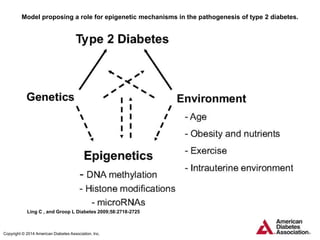 Model proposing a role for epigenetic mechanisms in the pathogenesis of type 2 diabetes.
Ling C , and Groop L Diabetes 2009;58:2718-2725
Copyright © 2014 American Diabetes Association, Inc.
 