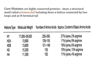 Core Histones are highly conserved proteins - share a structural
motif called a histone fold including three α helices connected by two
loops and an N-terminal tail
 