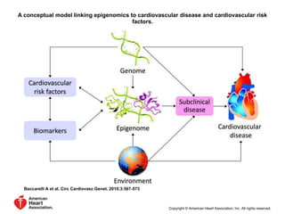 A conceptual model linking epigenomics to cardiovascular disease and cardiovascular risk
factors.
Baccarelli A et al. Circ Cardiovasc Genet. 2010;3:567-573
Copyright © American Heart Association, Inc. All rights reserved.
 