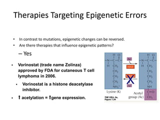 Therapies Targeting Epigenetic Errors
• In contrast to mutations, epigenetic changes can be reversed.
• Are there therapies that influence epigenetic patterns?
– Yes
 Vorinostat (trade name Zolinza)
approved by FDA for cutaneous T cell
lymphoma in 2006.
 Vorinostat is a histone deacetylase
inhibitor.
 ⬆ acetylation = ⬆gene expression.
X
 