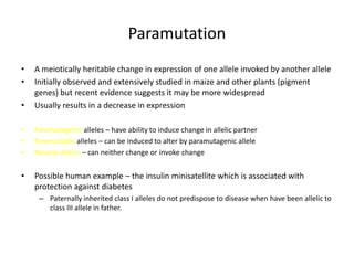 Paramutation
• A meiotically heritable change in expression of one allele invoked by another allele
• Initially observed and extensively studied in maize and other plants (pigment
genes) but recent evidence suggests it may be more widespread
• Usually results in a decrease in expression
• Paramutagenic alleles – have ability to induce change in allelic partner
• Paramutable alleles – can be induced to alter by paramutagenic allele
• Neutral alleles – can neither change or invoke change
• Possible human example – the insulin minisatellite which is associated with
protection against diabetes
– Paternally inherited class I alleles do not predispose to disease when have been allelic to
class III allele in father.
 
