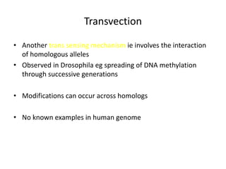 Transvection
• Another trans sensing mechanism ie involves the interaction
of homologous alleles
• Observed in Drosophila eg spreading of DNA methylation
through successive generations
• Modifications can occur across homologs
• No known examples in human genome
 