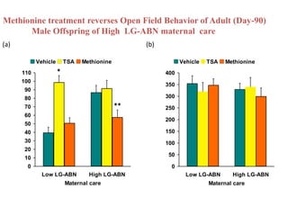 0
10
20
30
40
50
60
70
80
90
100
110
Low LG-ABN High LG-ABN
Maternal care
Timespentininnerfield(min)
Vehicle TSA Methionine
(a) (b)
0
50
100
150
200
250
300
350
400
Low LG-ABN High LG-ABN
Maternal care
Totalnumberofsquarescrossed
Vehicle TSA Methionine
*
**
Methionine treatment reverses Open Field Behavior of Adult (Day-90)
Male Offspring of High LG-ABN maternal care
 