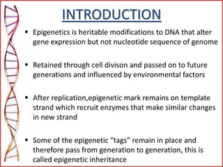 INTRODUCTION
 Epigenetics is heritable modifications to DNA that alter
gene expression but not nucleotide sequence of genome
 Retained through cell divison and passed on to future
generations and influenced by environmental factors
 After replication,epigenetic mark remains on template
strand which recruit enzymes that make similar changes
in new strand
 Some of the epigenetic “tags” remain in place and
therefore pass from generation to generation, this is
called epigenetic inheritance
 