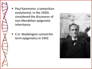  Paul Kammerer, a lamarckian
evolutionist, in the 1920s
considered the discoverer of
non-Mendelian epigenetic
inheritance
 C.H. Waddington coined the
term epigenetics in 1942
 