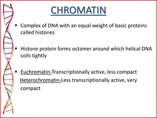 CHROMATIN
 Complex of DNA with an equal weight of basic proteins
called histones
 Histone protein forms octamer around which helical DNA
coils tightly
 Euchromatin-Transcriptionally active, less compact
Heterochromatin-Less transcriptionally active, very
compact
 