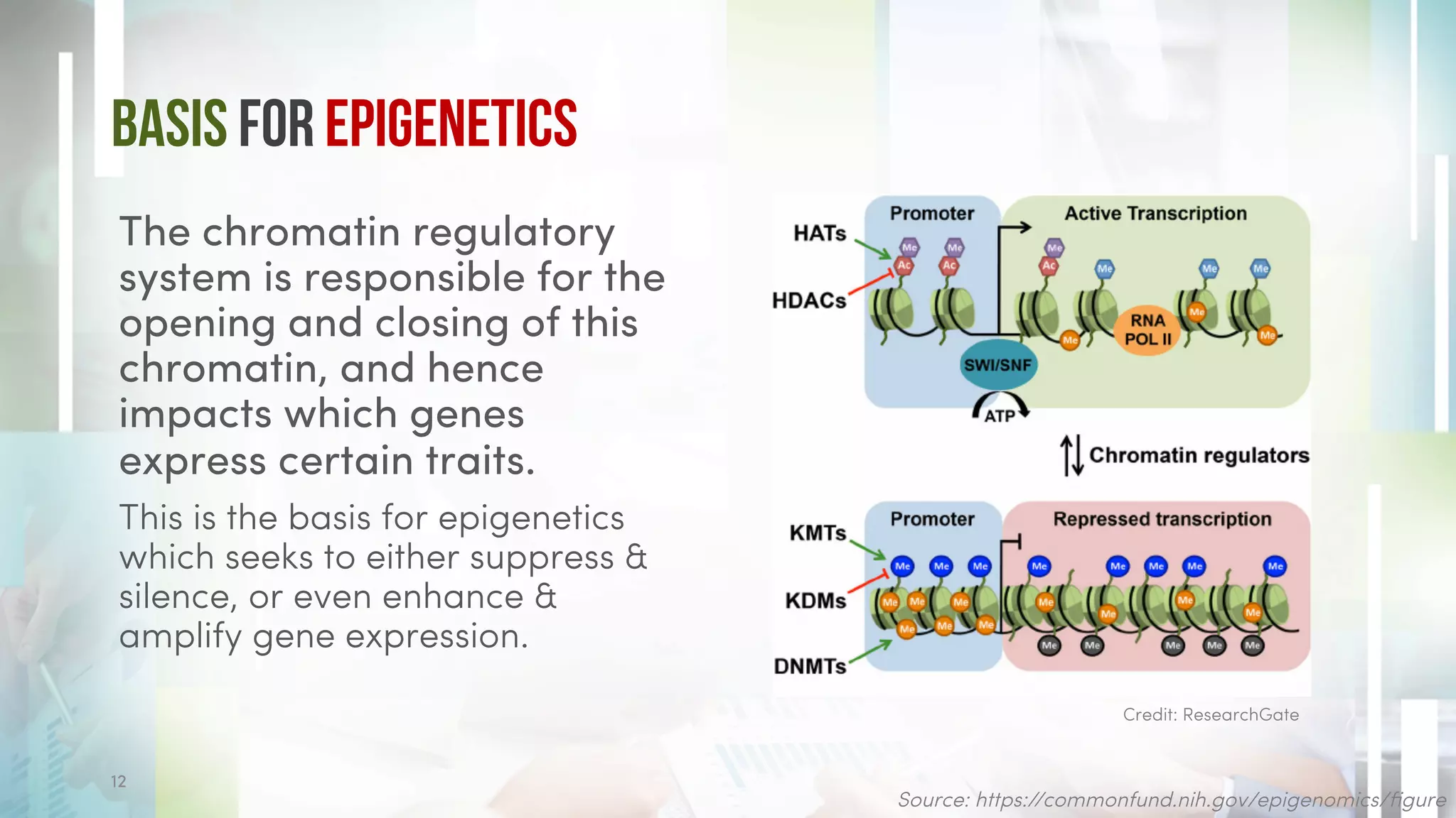 Basis for Epigenetics
The chromatin regulatory
system is responsible for the
opening and closing of this
chromatin, and hence
impacts which genes
express certain traits.
This is the basis for epigenetics
which seeks to either suppress &
silence, or even enhance &
amplify gene expression.
Source: https://commonfund.nih.gov/epigenomics/figure
Credit: ResearchGate
12