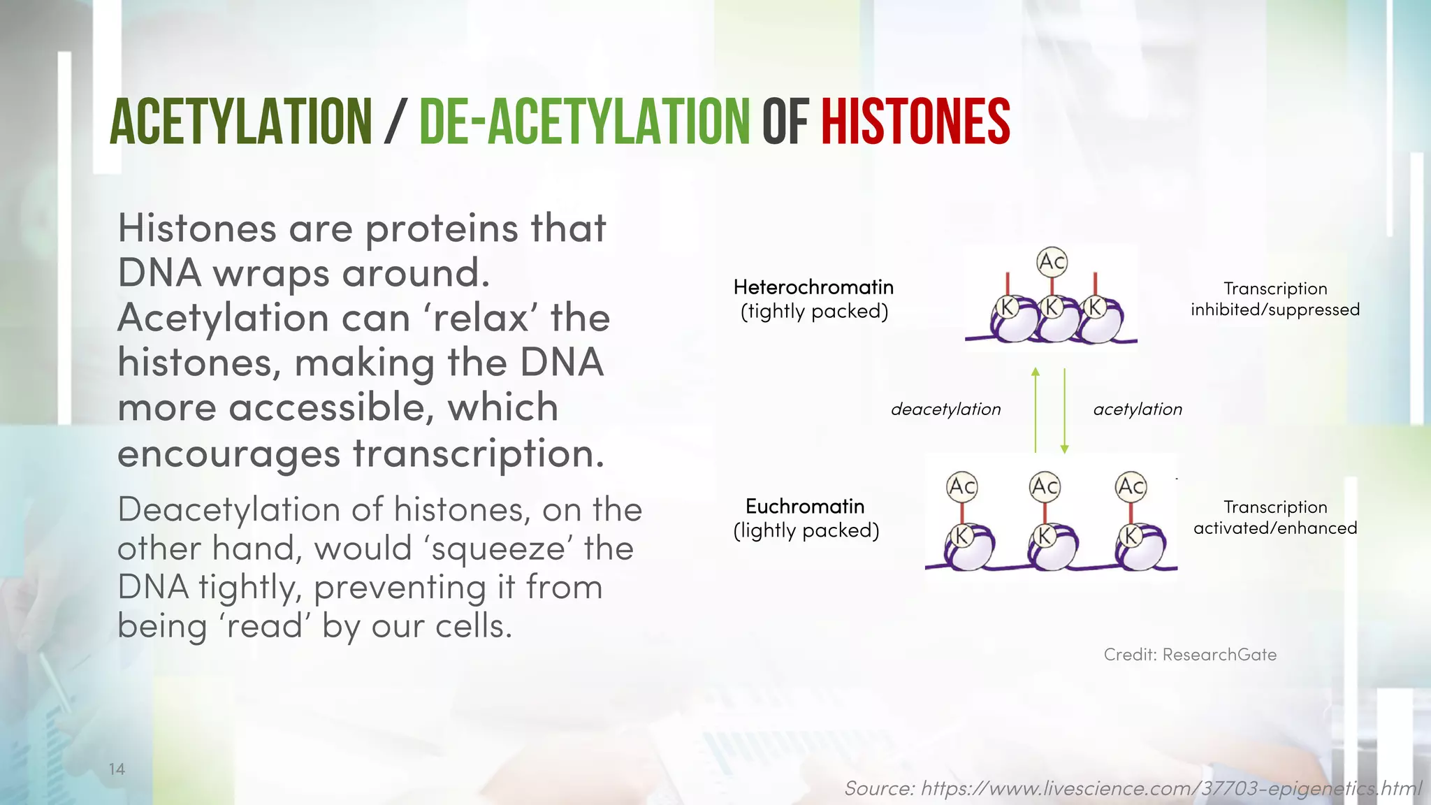 Acetylation / De-Acetylation of Histones
Histones are proteins that
DNA wraps around.
Acetylation can ‘relax’ the
histones, making the DNA
more accessible, which
encourages transcription.
Deacetylation of histones, on the
other hand, would ‘squeeze’ the
DNA tightly, preventing it from
being ‘read’ by our cells.
Credit: ResearchGate
14
Euchromatin
(lightly packed)
Heterochromatin
(tightly packed)
deacetylation acetylation
Transcription
inhibited/suppressed
Transcription
activated/enhanced
Source: https://www.livescience.com/37703-epigenetics.html