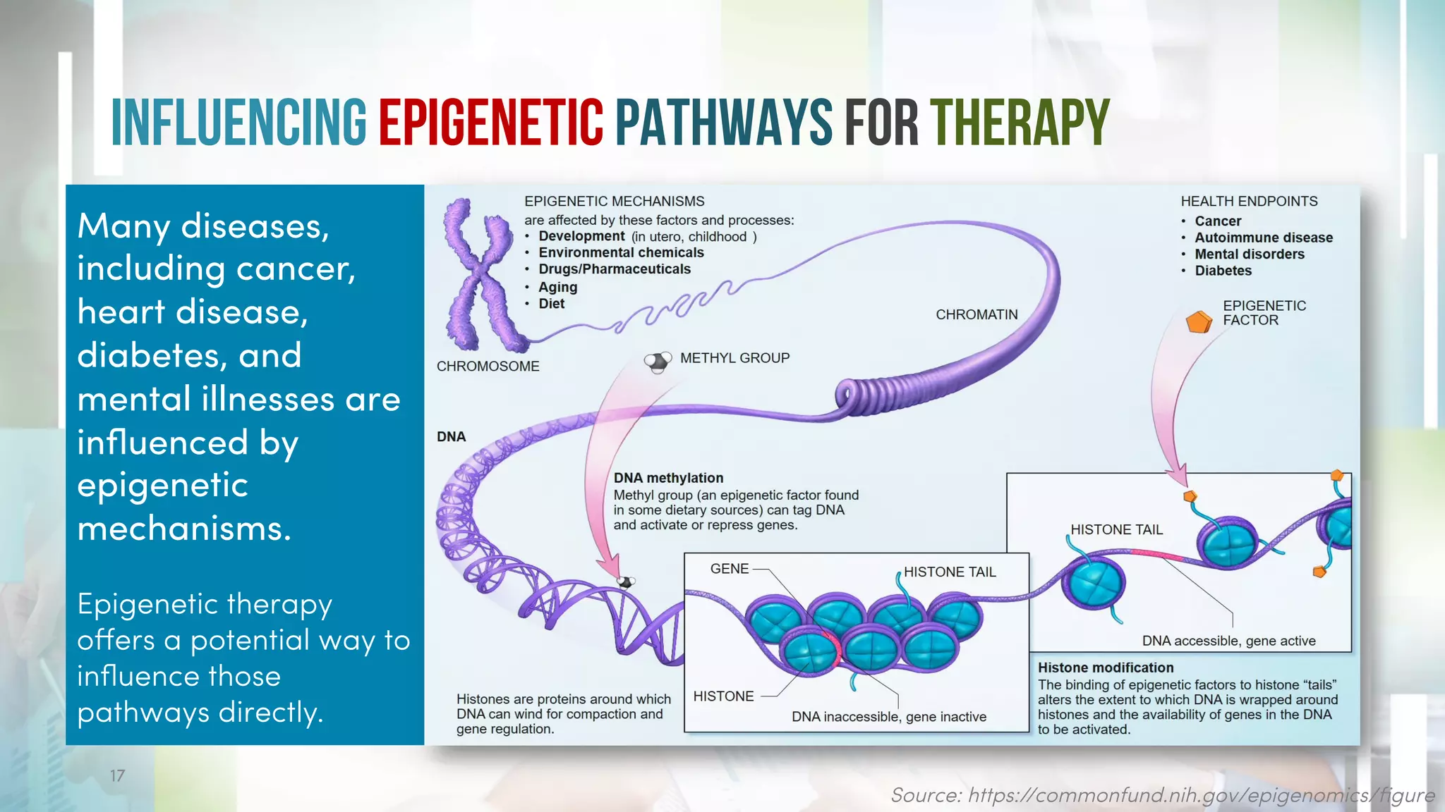 Influencing Epigenetic Pathways for Therapy
Source: https://commonfund.nih.gov/epigenomics/figure
17
Many diseases,
including cancer,
heart disease,
diabetes, and
mental illnesses are
influenced by
epigenetic
mechanisms.
Epigenetic therapy
offers a potential way to
influence those
pathways directly.