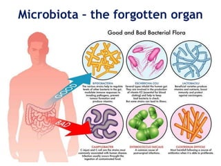 Microbiota – the forgotten organ
 