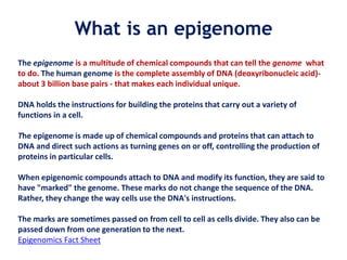 The epigenome is a multitude of chemical compounds that can tell the genome what
to do. The human genome is the complete assembly of DNA (deoxyribonucleic acid)-
about 3 billion base pairs - that makes each individual unique.
DNA holds the instructions for building the proteins that carry out a variety of
functions in a cell.
The epigenome is made up of chemical compounds and proteins that can attach to
DNA and direct such actions as turning genes on or off, controlling the production of
proteins in particular cells.
When epigenomic compounds attach to DNA and modify its function, they are said to
have "marked" the genome. These marks do not change the sequence of the DNA.
Rather, they change the way cells use the DNA's instructions.
The marks are sometimes passed on from cell to cell as cells divide. They also can be
passed down from one generation to the next.
Epigenomics Fact Sheet
What is an epigenome
 