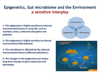 1- The epigenome is highly sensitive to external
environmental factors in early life, such as
nutrition, stress, endocrine disruption and
pollution
2- The epigenome is highly sensitive to internal
environmental (Microbiome)
3- The microbiome is affected by the external
environmental factors (different pollutants )
4- The changes in the epigenome can induce
long-term changes in gene expression and
phenotype
Epigenetics, Gut microbiome and the Environment
a sensitive interplay
 