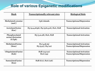 Mark Transcriptionally relevant sites Biological Role
Methylated cytosine
(meC)
CpG islands Transcriptional Repression
Acetylated lysine
(Kac)
H3 (9,14,18,56), H4 (5,8,13,16), H2A, H2B Transcriptional Activation
Phosphorylated
serine/threonine
(S/Tph)
H3 (3,10,28), H2A, H2B Transcriptional Activation
Methylated lysine
(Kme)
H3 (4,36,79)
H3 (9,27), H4 (20)
Transcriptional Activation
Transcriptional Repression
Ubiquitylated lysine
(Kub)
H2B (123/120)
H2A (119)
Transcriptional Activation
Transcriptional Repression
Sumoylated lysine
(Ksu)
H2B (6/7), H2A (126) Transcriptional Repression
Role of various Epigenetic modifications
 