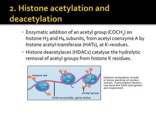 ▪ Enzymatic addition of an acetyl group (COCH3) on
histone H3 and H4 subunits, from acetyl coenzymeA by
histone acetyl-transferase (HATs), at K-residues.
▪ Histone deacetylaces (HDACs) catalyze the hydrolytic
removal of acetyl groups from histone K residues.
 