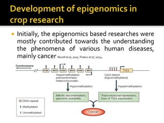  Initially, the epigenomics based researches were
mostly contributed towards the understanding
the phenomena of various human diseases,
mainly cancer Murell et al, 2005:Thakur et al, 2013.
 