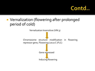  Vernalization (flowering after prolonged
period of cold)
Vernalization Insensitive (VIN 3)
Chromosome structure modification in flowering
repressor gene, Flowering Locus C (FLC)
Gene repressed
Inducing flowering
 