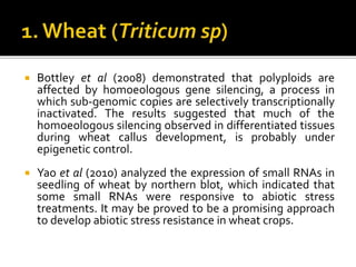  Bottley et al (2008) demonstrated that polyploids are
affected by homoeologous gene silencing, a process in
which sub-genomic copies are selectively transcriptionally
inactivated. The results suggested that much of the
homoeologous silencing observed in differentiated tissues
during wheat callus development, is probably under
epigenetic control.
 Yao et al (2010) analyzed the expression of small RNAs in
seedling of wheat by northern blot, which indicated that
some small RNAs were responsive to abiotic stress
treatments. It may be proved to be a promising approach
to develop abiotic stress resistance in wheat crops.
 