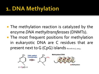  The methylation reaction is catalyzed by the
enzyme DNA methyltransferases (DNMTs).
 The most frequent positions for methylation
in eukaryotic DNA are C residues that are
present next to G (CpG) islands Murrell et al, 2005.
 