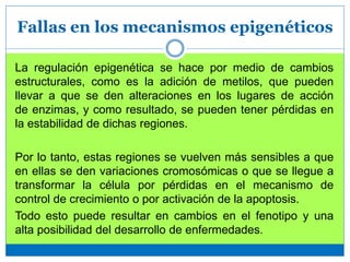 Fallas en los mecanismos epigenéticos
La regulación epigenética se hace por medio de cambios
estructurales, como es la adición de metilos, que pueden
llevar a que se den alteraciones en los lugares de acción
de enzimas, y como resultado, se pueden tener pérdidas en
la estabilidad de dichas regiones.
Por lo tanto, estas regiones se vuelven más sensibles a que
en ellas se den variaciones cromosómicas o que se llegue a
transformar la célula por pérdidas en el mecanismo de
control de crecimiento o por activación de la apoptosis.
Todo esto puede resultar en cambios en el fenotipo y una
alta posibilidad del desarrollo de enfermedades.
 