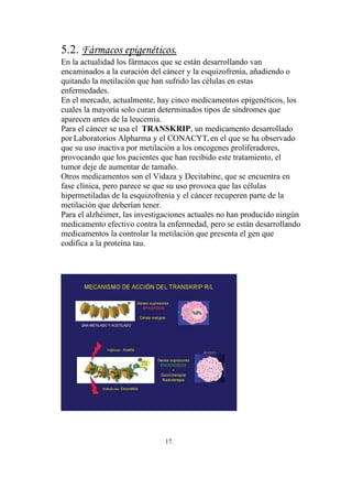 5.2. Fármacos epigenéticos.
En la actualidad los fármacos que se están desarrollando van
encaminados a la curación del cáncer y la esquizofrenia, añadiendo o
quitando la metilación que han sufrido las células en estas
enfermedades.
En el mercado, actualmente, hay cinco medicamentos epigenéticos, los
cuales la mayoría solo curan determinados tipos de síndromes que
aparecen antes de la leucemia.
Para el cáncer se usa el TRANSKRIP, un medicamento desarrollado
por Laboratorios Alpharma y el CONACYT, en el que se ha observado
que su uso inactiva por metilación a los oncogenes proliferadores,
provocando que los pacientes que han recibido este tratamiento, el
tumor deje de aumentar de tamaño.
Otros medicamentos son el Vidaza y Decitabine, que se encuentra en
fase clínica, pero parece se que su uso provoca que las células
hipermetiladas de la esquizofrenia y el cáncer recuperen parte de la
metilación que deberían tener.
Para el alzhéimer, las investigaciones actuales no han producido ningún
medicamento efectivo contra la enfermedad, pero se están desarrollando
medicamentos la controlar la metilación que presenta el gen que
codifica a la proteína tau.




                              17.
 