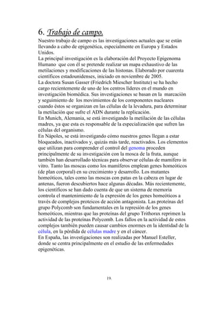 6. Trabajo de campo.
Nuestro trabajo de campo es las investigaciones actuales que se están
llevando a cabo de epigenética, especialmente en Europa y Estados
Unidos.
La principal investigación es la elaboración del Proyecto Epigenoma
Humano que con él se pretende realizar un mapa exhaustivo de las
metilaciones y modificaciones de las histonas. Elaborado por cuarenta
científicos estadounidenses, iniciado en noviembre de 2005.
La doctora Susan Gasser (Friedrich Miescher Institute) se ha hecho
cargo recientemente de uno de los centros líderes en el mundo en
investigación biomédica. Sus investigaciones se basan en la marcación
y seguimiento de los movimientos de los componentes nucleares
cuando éstos se organizan en las células de la levadura, para determinar
la metilación que sufre el ADN durante la replicación.
En Munich, Alemania, se está investigando la metilación de las células
madres, ya que esta es responsable de la especialización que sufren las
células del organismo.
En Nápoles, se está investigando cómo nuestros genes llegan a estar
bloqueados, inactivados y, quizás más tarde, reactivados. Los elementos
que utilizan para comprender el control del genoma proceden
principalmente de su investigación con la mosca de la fruta, aunque
también han desarrollado técnicas para observar células de mamífero in
vitro. Tanto las moscas como los mamíferos emplean genes homeóticos
(de plan corporal) en su crecimiento y desarrollo. Los mutantes
homeóticos, tales como las moscas con patas en la cabeza en lugar de
antenas, fueron descubiertos hace algunas décadas. Más recientemente,
los científicos se han dado cuenta de que un sistema de memoria
controla el mantenimiento de la expresión de los genes homeóticos a
través de complejos proteicos de acción antagonista. Las proteínas del
grupo Polycomb son fundamentales en la represión de los genes
homeóticos, mientras que las proteínas del grupo Trithorax reprimen la
actividad de las proteínas Polycomb. Los fallos en la actividad de estos
complejos también pueden causar cambios enormes en la identidad de la
célula, en la pérdida de células madre y en el cáncer.
En España, las investigaciones son realizadas por Manuel Esteller,
donde se centra principalmente en el estudio de las enfermedades
epigenéticas.




                                19.
 
