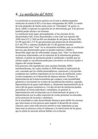 4. La metilación del ADN.
La metilación es un proceso químico en el cual se añaden pequeñas
moléculas de metilo (CH3-) a las bases nitrogenadas del ADN. La unión
de estas pequeñas de metilo actúa como un “interruptor” de genes, es
decir, inhibe o expresan la expresión de un determinado gen. Este proceso
también puede afectar a las histonas.
La metilación tiene lugar, principalmente, el las citosinas de los
dinucleótidos CpG. Estos dinucleótidos o islas CpG son regiones del
ADN entre 0.5 y 5 Kb (un Kb son alrededor de mil pares de bases (Pb).
Un Pb equivale a 3.4 Å) que presentan una proporción de dinucleótidos
G:C del 55% y suponen alrededor del 1% del genoma humano.
Normalmente estas “islas” no se encuentran metiladas, pero su metilación
provoca que determinados genes se puedan expresar o inhibir y
desarrollar algún tipo de enfermedad, aunque estas “islas” no intervienen
en procesos relacionados con la expresión de la información genética.
Además, el patrón de metilación puede ir cambiando a medida que las
células madre se van diferenciando para convertirse en diversos tejidos u
órganos del cuerpo humano.
Este procesos está regulado por unas enzimas llamadas ADN-
metiltransferasas, las cuales metilan el ADN durante la replicación de
este, causando que las células preneoplásicas, cancerosas y envejecidas
comparten tres cambios importantes en los niveles de metilación, como
eventos tempranos en el desarrollo de algunos tumores. Primero, la
hipometilación de la heterocromatina que conduce a una inestabilidad
genómica e incrementa los eventos de recombinación mitótica; segundo,
hipermetilación de genes individuales y, finalmente hipermetilación de la
islas CpG de genes constitutivos. Los dos niveles de metilación pueden
presentarse en forma individual o simultánea, en general, la
hipermetilación está involucrada con el silenciamiento de genes y la
hipometilación con la sobre-expresión de ciertas proteínas involucradas
en los procesos de invasión y metástasis.
En la actualidad se están desarrollando fármacos para inhibir las enzimas
que intervienen en este proceso para impedir el desarrollo de ciertos
cánceres, pero como todo proceso natural es muy importante ya que
interviene en procesos como el embarazo o la inactivación de los genes
que la célula no necesita utilizar debido a la evolución.




                                    9.
 