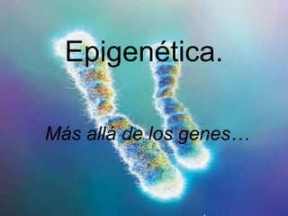 Epigenética. Más allá de los genes… 