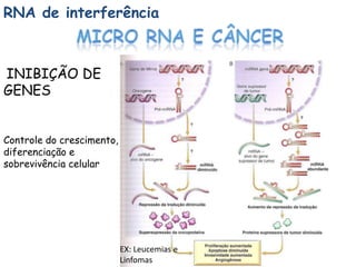 RNA de interferência



INIBIÇÃO DE
GENES


Controle do crescimento,
diferenciação e
sobrevivência celular




                           EX: Leucemias e
                           Linfomas
 