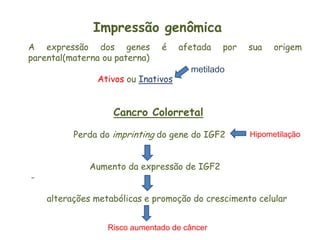 Impressão genômica
A expressão dos genes          é    afetada   por   sua   origem
parental(materna ou paterna)
                                      metilado
               Ativos ou Inativos


                   Cancro Colorretal

          Perda do imprinting do gene do IGF2       Hipometilação



              Aumento da expressão de IGF2
-

    alterações metabólicas e promoção do crescimento celular


                  Risco aumentado de câncer
 