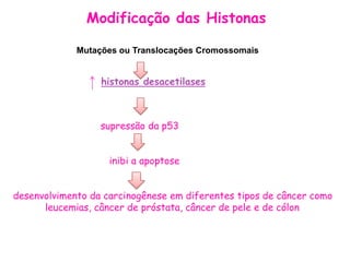 Modificação das Histonas

             Mutações ou Translocações Cromossomais


                  histonas desacetilases



                  supressão da p53


                    inibi a apoptose


desenvolvimento da carcinogênese em diferentes tipos de câncer como
      leucemias, câncer de próstata, câncer de pele e de cólon
 