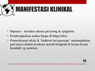 MANIFESTASI KLINIKAL
• Dipsnea – berlaku edema pd laring & epiglottis.
• Pembengkakan nodus limpa di bhgn leher.
• Pemeriksaan tekak & ‘Indirect larygoscopy’ menunjukkan
peti suara dalam keadaan merah bengkak & kesan-kesan
bendalir yg melekat.
24
 