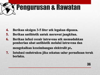 Pengurusan & Rawatan
4.4. Berikan oksigen 3-5 liter utk legakan dipsnea.Berikan oksigen 3-5 liter utk legakan dipsnea.
5.5. Berikan antibiotik untuk merawat jangkitan.Berikan antibiotik untuk merawat jangkitan.
6.6. Berikan infusi cecair intravena utk memudahkanBerikan infusi cecair intravena utk memudahkan
pemberian ubat antibiotik melalui intravena danpemberian ubat antibiotik melalui intravena dan
mengekalkan keseimbangan elektrolit ptmengekalkan keseimbangan elektrolit pt..
7.7. Intubasi endotrakea jika sekatan salur pernafasan terukIntubasi endotrakea jika sekatan salur pernafasan teruk
berlaku.berlaku.
36
 