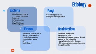 H.influenzae type b
(most common)
S.Aureus
S.Pneumoniae
S.Pyogenes
N.Meningitidis
Bacteria
Viruses
Fungi
Noninfectious
Influenza, type a and b
Herpes simplex virus
Parainfluenza virus
Epstein-Barr virus
HIV
SARS-CoV-2
Candida species and
Histoplasma capsulatum
- Thermal injury from:
Ingestion of food
Inhalation of heated objects •Direct
trauma to the epiglottis
- Lymphoproliferative disease
- Chronic granulomatous disorders
like polyangiitis
Etiology
 