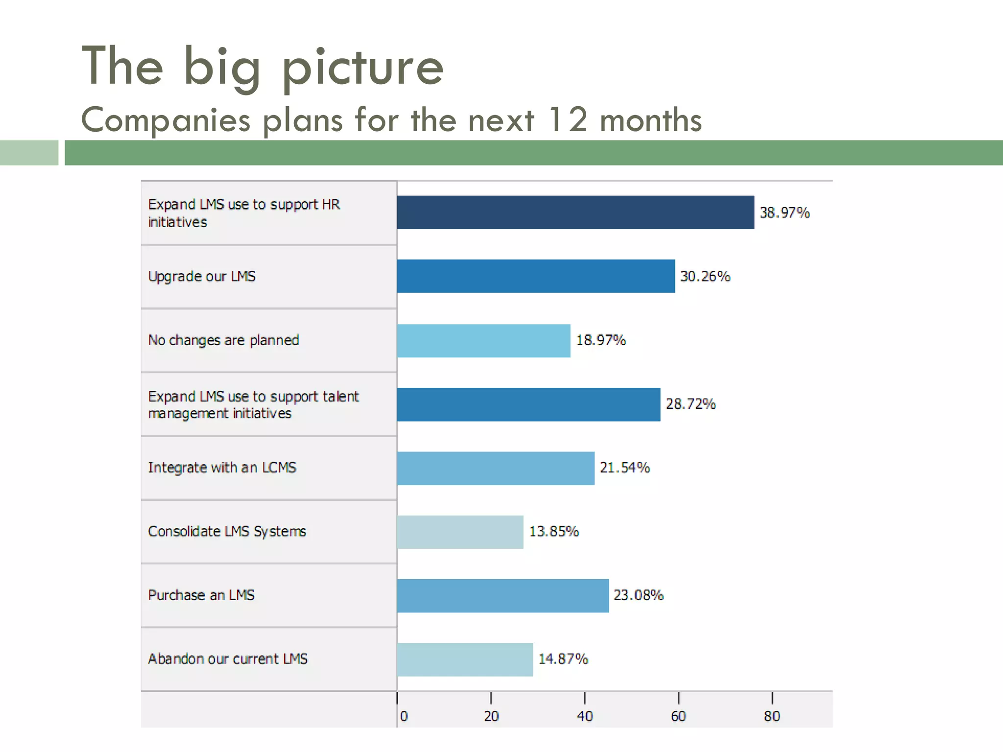 The big picture Companies plans for the next 12 months 