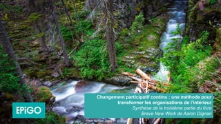 Synthèse du livre Brave New Work de Aaron Dignan
Changement participatif continu : une méthode pour
transformer les organi...
