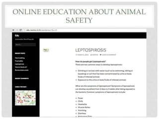 ONLINE EDUCATION ABOUT ANIMAL
SAFETY
 
