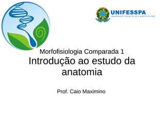 Morfofisiologia Comparada 1
Introdução ao estudo da
anatomia
Prof. Caio Maximino
 