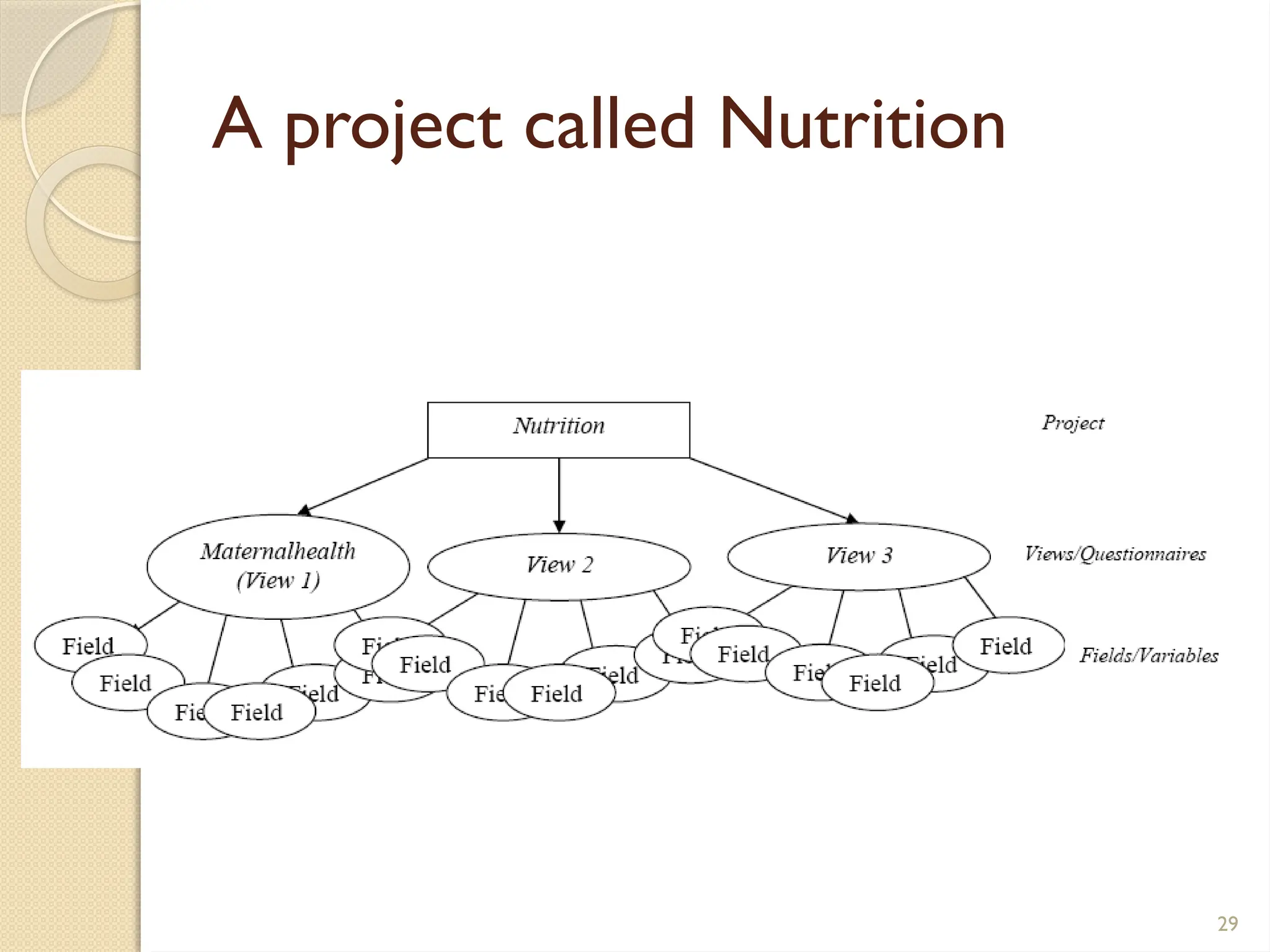 29
A project called Nutrition
 