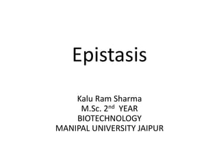 Epistasis
Kalu Ram Sharma
M.Sc. 2nd YEAR
BIOTECHNOLOGY
MANIPAL UNIVERSITY JAIPUR
 