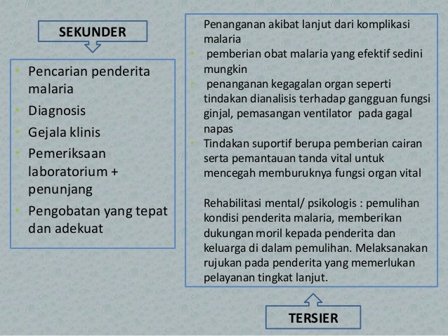 MALARIA - epidemiologi penyakit menular