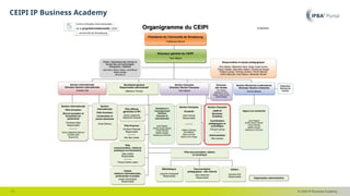 © 2025 IP Business Academy
CEIPI IP Business Academy
- 11 -
 