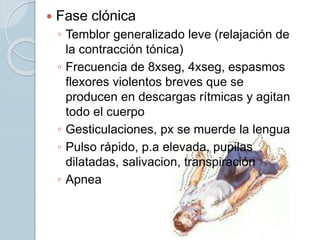  Fase clónica
◦ Temblor generalizado leve (relajación de
la contracción tónica)
◦ Frecuencia de 8xseg, 4xseg, espasmos
flexores violentos breves que se
producen en descargas rítmicas y agitan
todo el cuerpo
◦ Gesticulaciones, px se muerde la lengua
◦ Pulso rápido, p.a elevada, pupilas
dilatadas, salivacion, transpiración
◦ Apnea
 