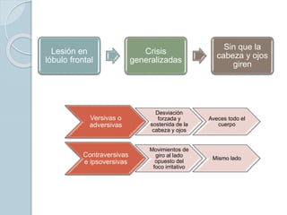 Lesión en
lóbulo frontal
Crisis
generalizadas
Sin que la
cabeza y ojos
giren
Versivas o
adversivas
Desviación
forzada y
sostenida de la
cabeza y ojos
Aveces todo el
cuerpo
Contraversivas
e ipsoversivas
Movimientos de
giro al lado
opuesto del
foco irritativo
Mismo lado
 