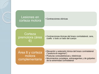 • Contracciones clónicas
Lesiones en
corteza motora
• Contracciones tónicas del brazo contralateral, cara,
cuello o todo un lado del cuerpo
Corteza
premotora (área
6)
• Elevación y extensión tónica del brazo contralateral
(“postura en esgrima”)
• Posturas coreoatetósicas y distónicas
• Movimientos complejos, extravagantes y de golpeteo
de la extremidad contralateral
Área 8 y corteza
motora
complementaria
 