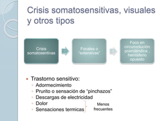 Crisis somatosensitivas, visuales
y otros tipos
 Trastorno sensitivo:
◦ Adormecimiento
◦ Prurito o sensación de “pinchazos”
◦ Descargas de electricidad
◦ Dolor
◦ Sensaciones termicas
Menos
frecuentes
Crisis
somatosentivas
Focales o
“extensivas”
Foco en
circunvolución
posrolándica ,
hemisferio
opuesto
 