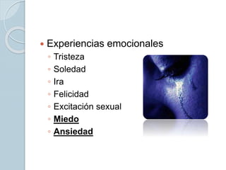  Experiencias emocionales
◦ Tristeza
◦ Soledad
◦ Ira
◦ Felicidad
◦ Excitación sexual
◦ Miedo
◦ Ansiedad
 