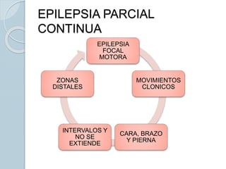 EPILEPSIA
FOCAL
MOTORA
MOVIMIENTOS
CLONICOS
CARA, BRAZO
Y PIERNA
INTERVALOS Y
NO SE
EXTIENDE
ZONAS
DISTALES
EPILEPSIA PARCIAL
CONTINUA
 