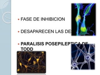  FASE DE INHIBICION
 DESAPARECEN LAS DESCARGAS
 PARALISIS POSEPILEPTICA DE
TODD
 