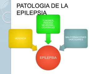 EPILEPSIA
HERENCIA
TUMORES,
PERDIDA
NEURONAL,
CICATRICES
MALFORMACIONES
VASCULARES
PATOLOGIA DE LA
EPILEPSIA
 