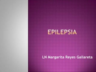 LN Margarita Reyes Gallareta
 